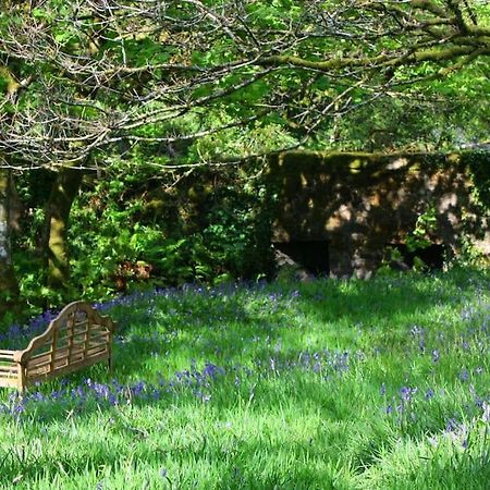 Lower Willsworthy Cottage 태비스톡 외부 사진