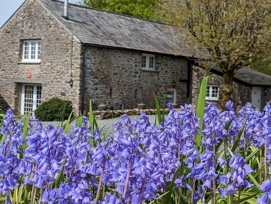 Lower Willsworthy Cottage 태비스톡 외부 사진