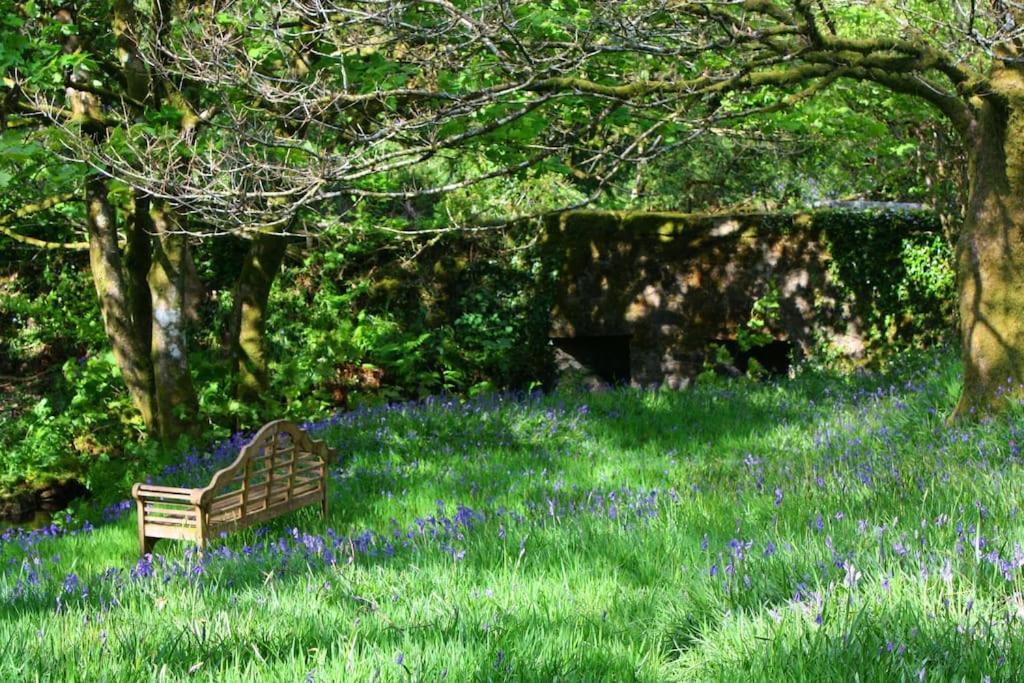 Lower Willsworthy Cottage 태비스톡 외부 사진