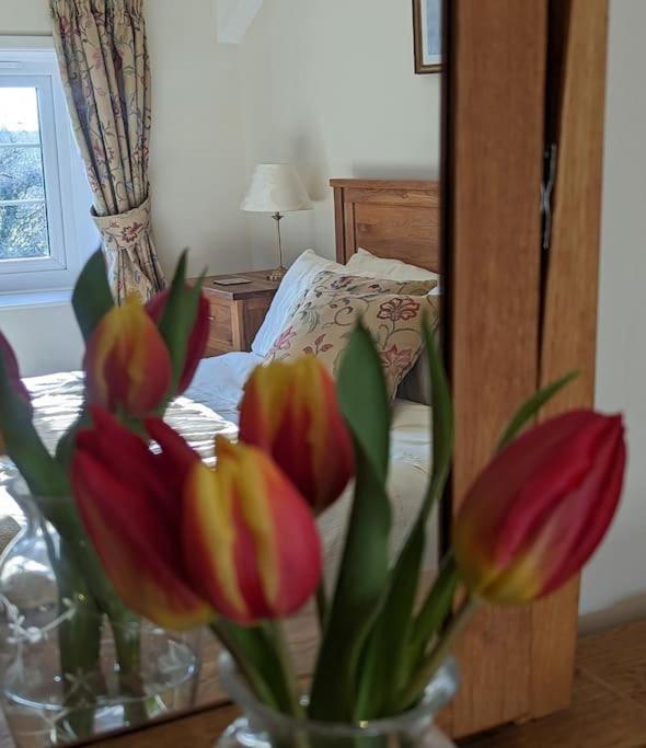 Lower Willsworthy Cottage 태비스톡 외부 사진