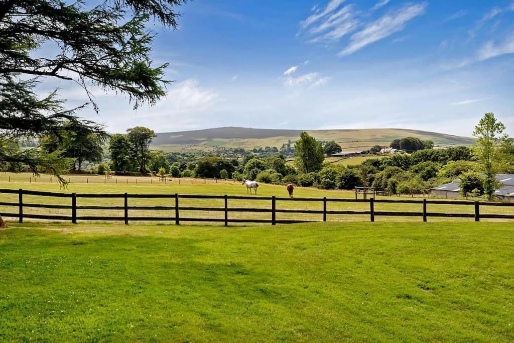 Lower Willsworthy Cottage 태비스톡 외부 사진